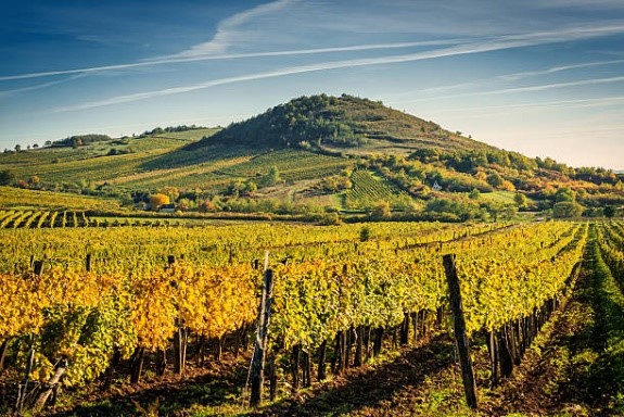 Tokaj-Hegyalja wine region