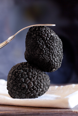 Hungarian truffles are the diamond of the world’s cuisine